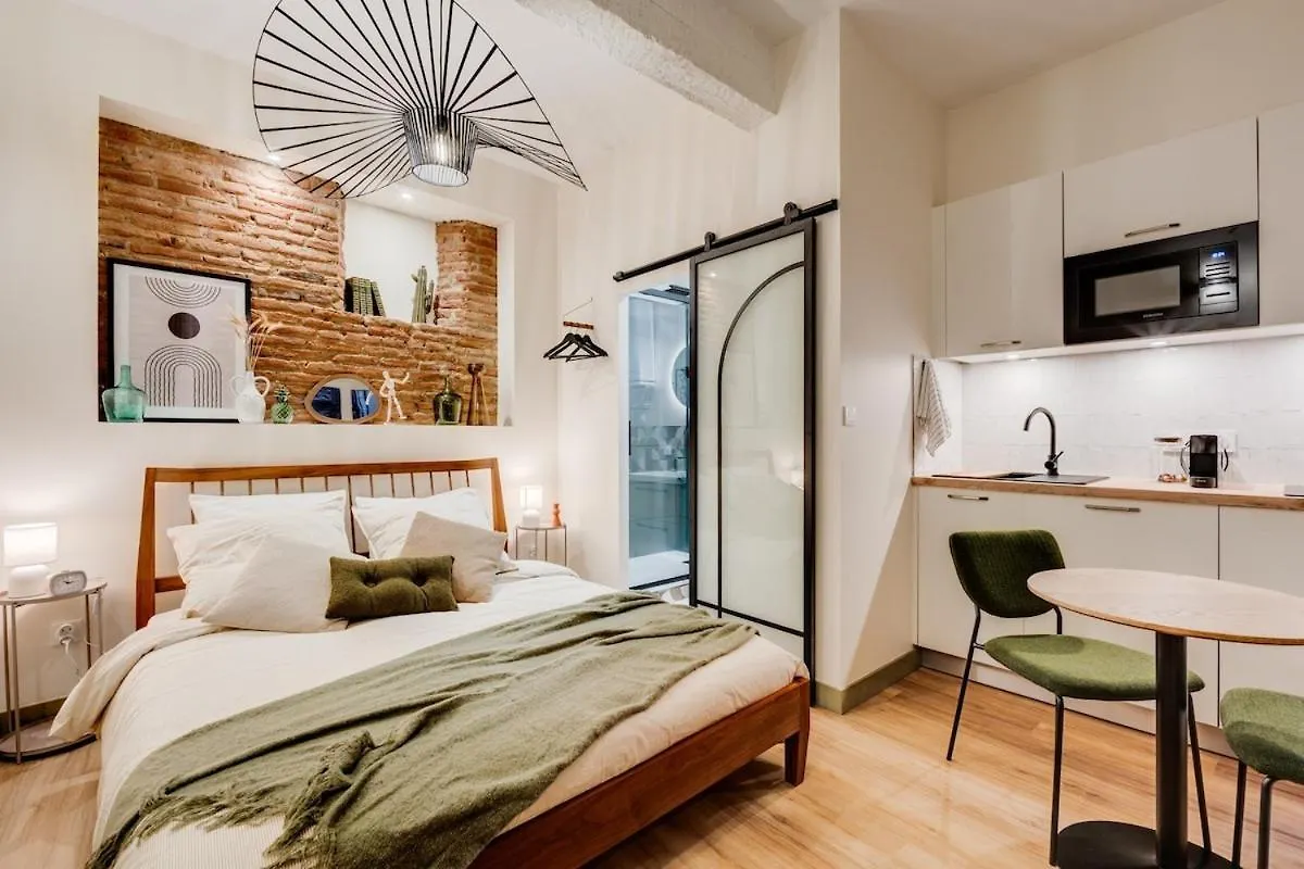 Le Perchepinte Apartment Toulouse